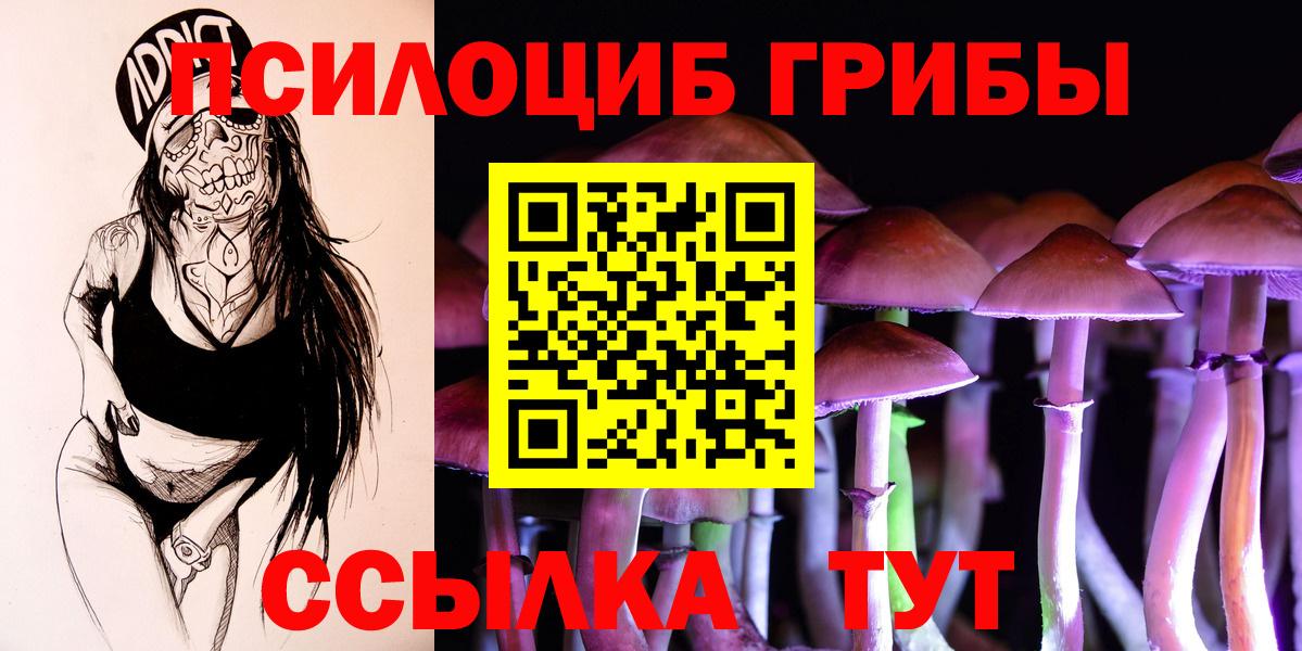 Галлюциногенные грибы прущие грибы Краснодар