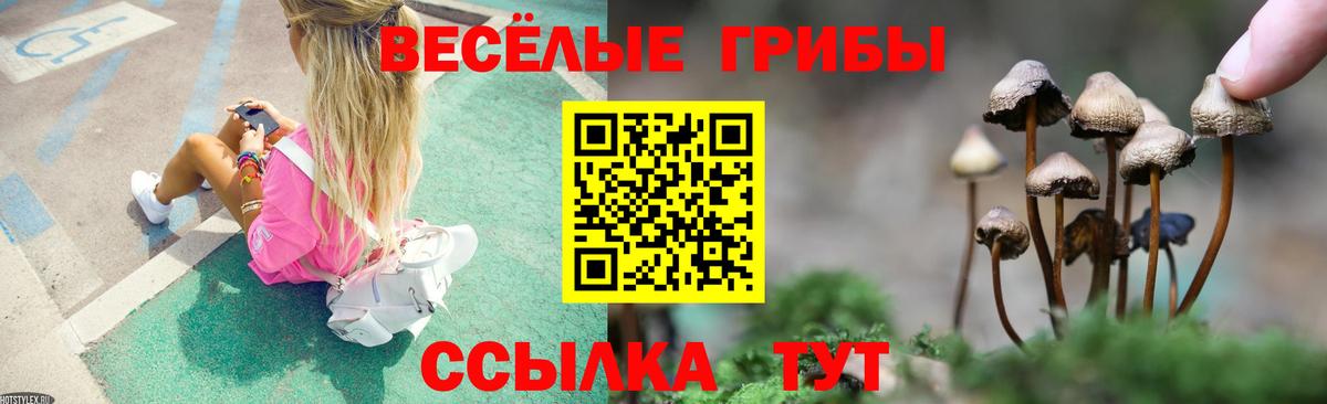 Краснодар  Псилоцибиновые грибы MAGIC MUSHROOMS  Галлюциногенные грибы Cubensis  где найти   Вход с VPN 